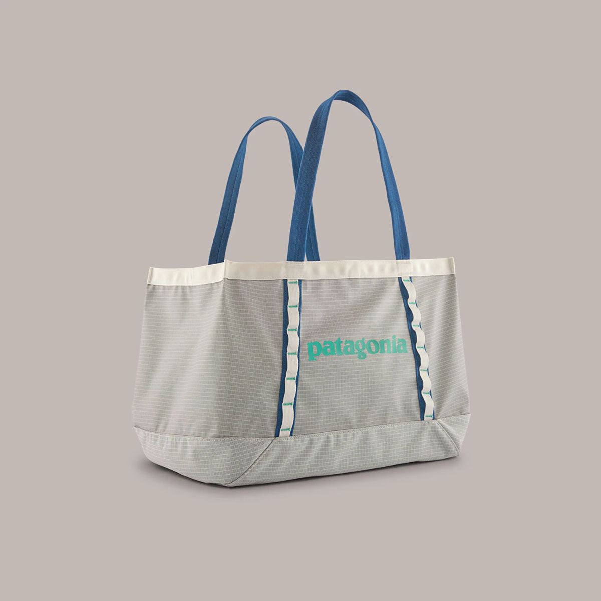 Patagonia Black Hole Tote 25L Birch White