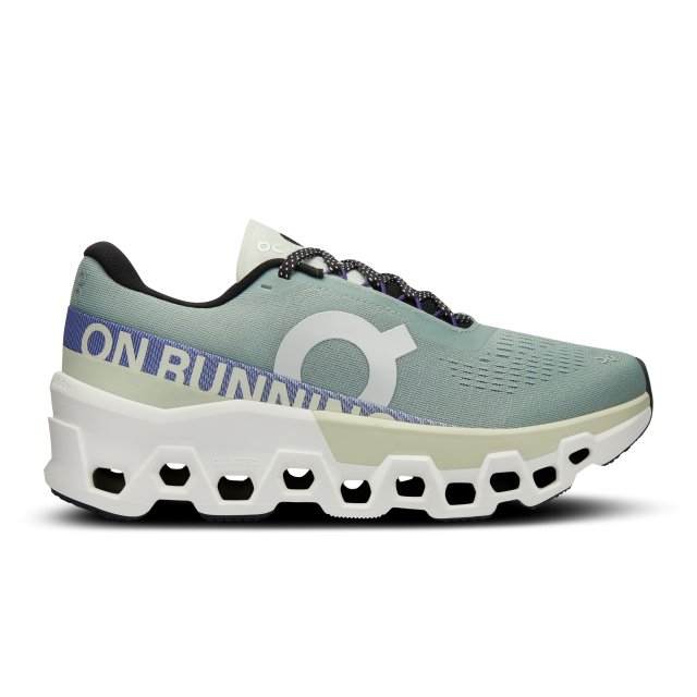 On Running Women&#39;s Cloudmonster 2 Mineral | Aloe