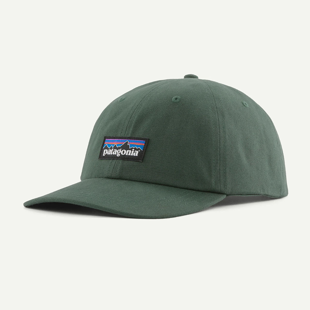 Patagonia P-6 Label Trad Cap Canopy Green