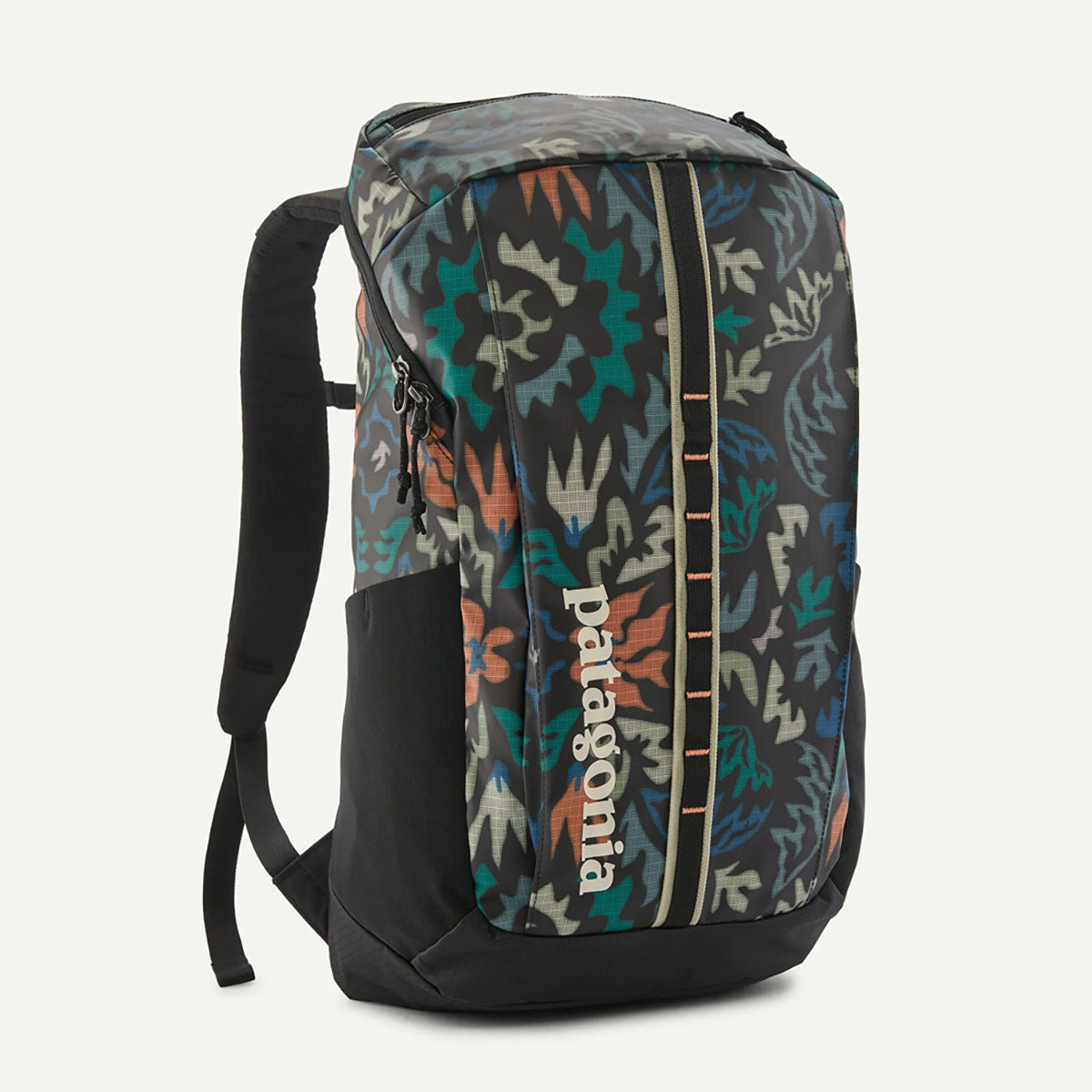 Patagonia Black Hole Pack 25L Kaleido: Black