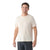 Smartwool M Perfect Crew SS Tee L31 Almond