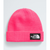 The North Face Kids' TNF Box Logo Cuffed Beanie P2B Radiant Poppy