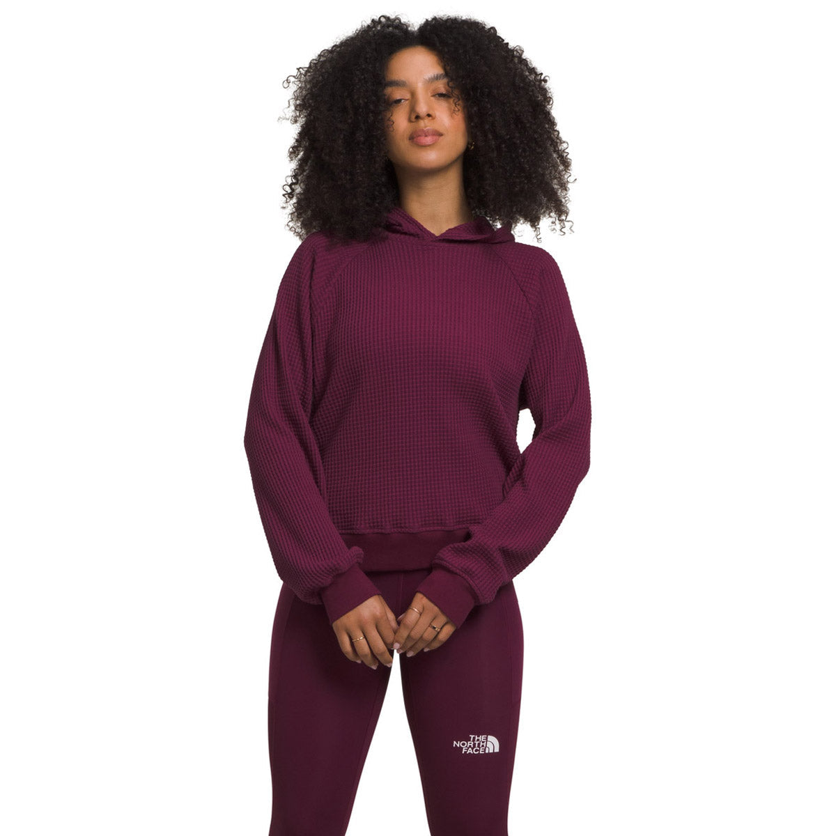 The North Face Women&#39;s Chabot Hoodie Boysenberry