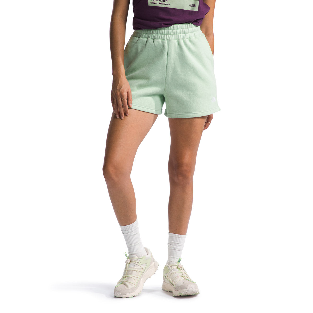 The North Face W Evolution Short isty Sage / M