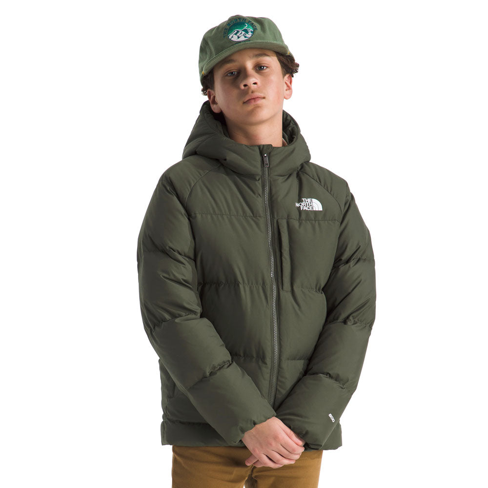The North Face Boys North Down Hooded Jacket New Taupe Green