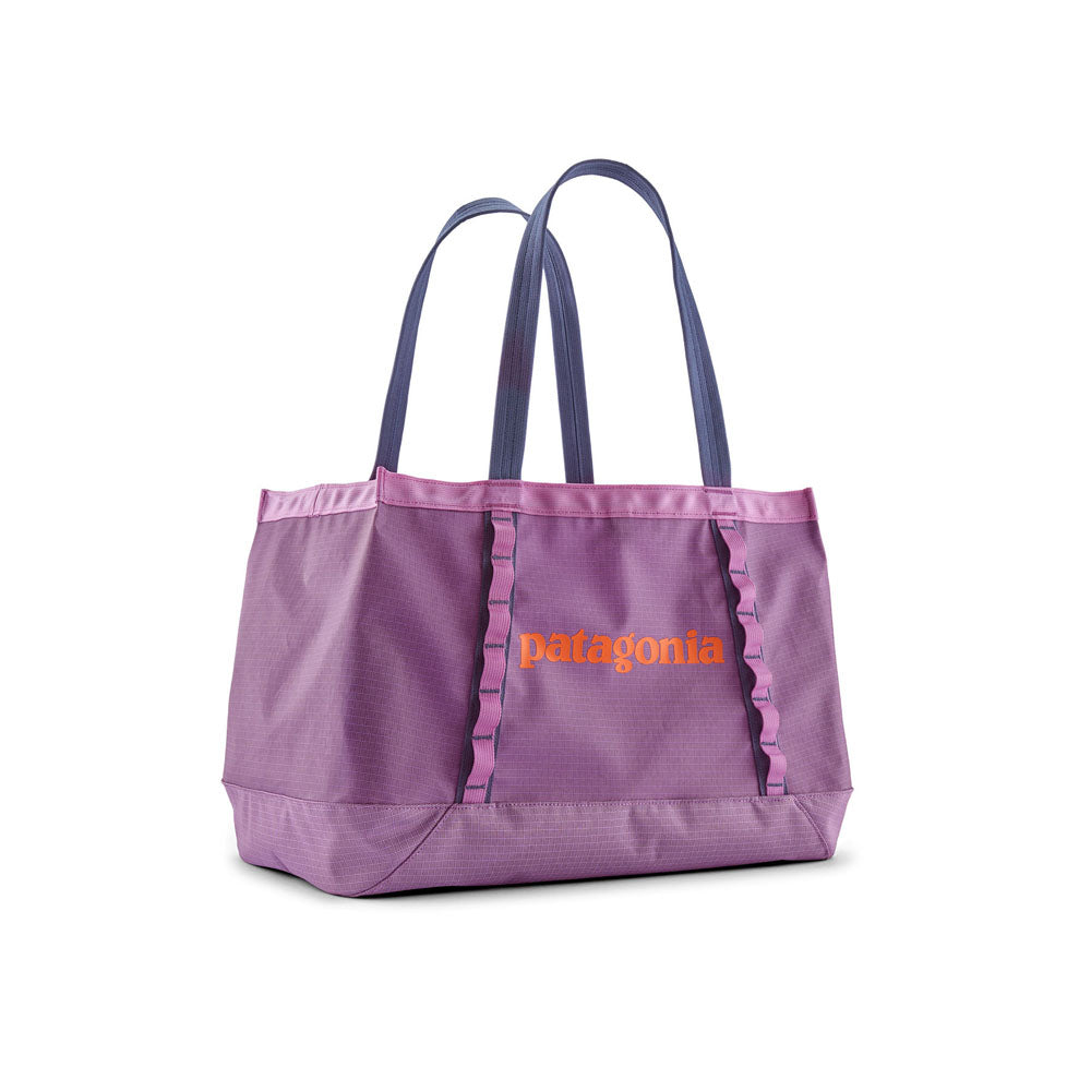 Patagonia Black Hole Tote 25L Brisk Purple