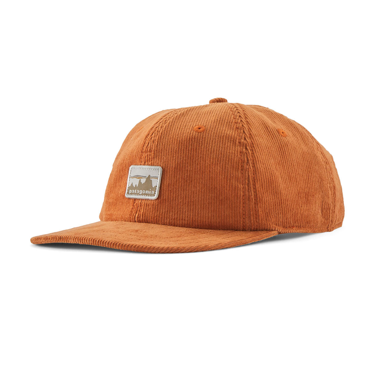 Patagonia Corduroy Cap 73 Skyline: Robin Brown