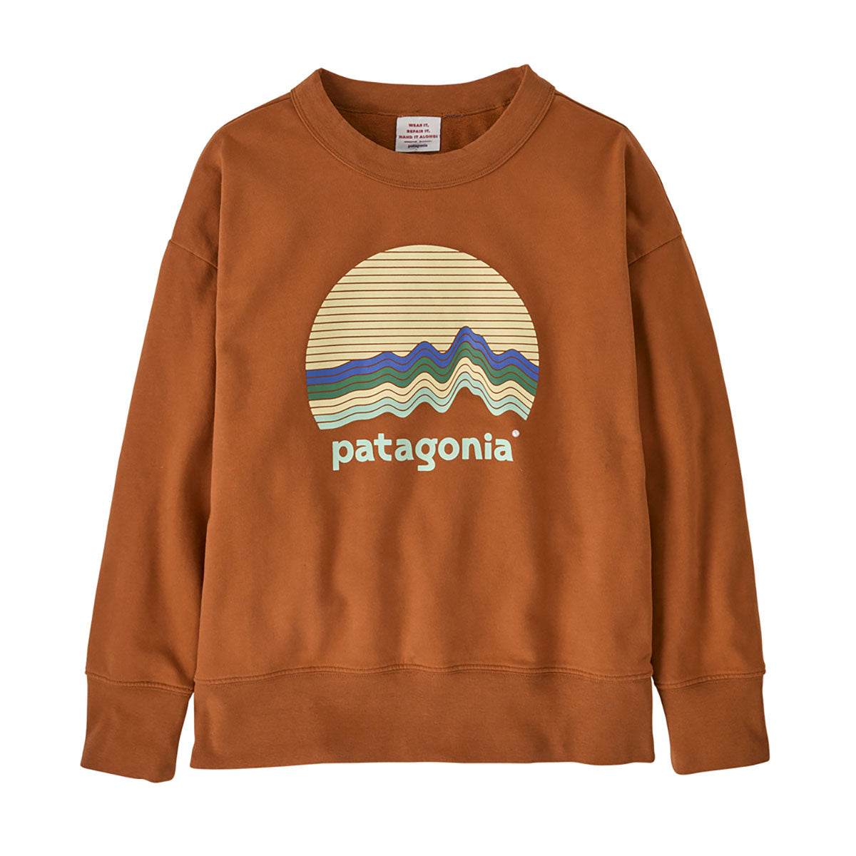 Patagonia Kids Crew Sweatshirt Ridge Rise oonlight: Robin Brown / M