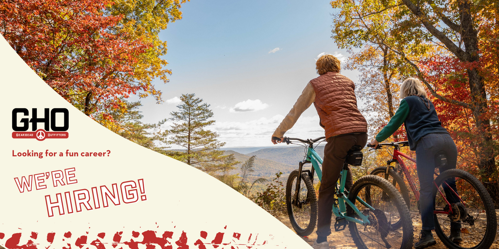 Gearhead bike shop hotsell