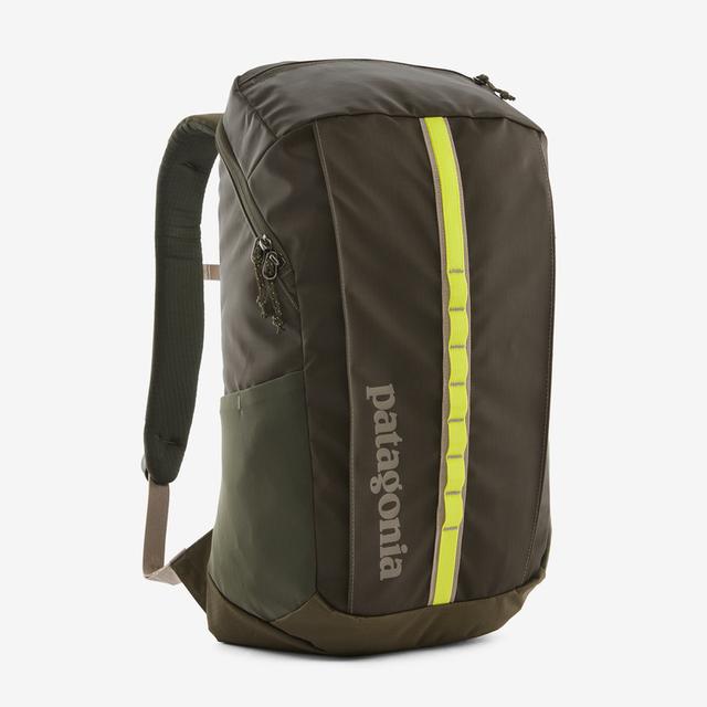 Patagonia Black Hole Pack 25L PNGR Pine Needle Green