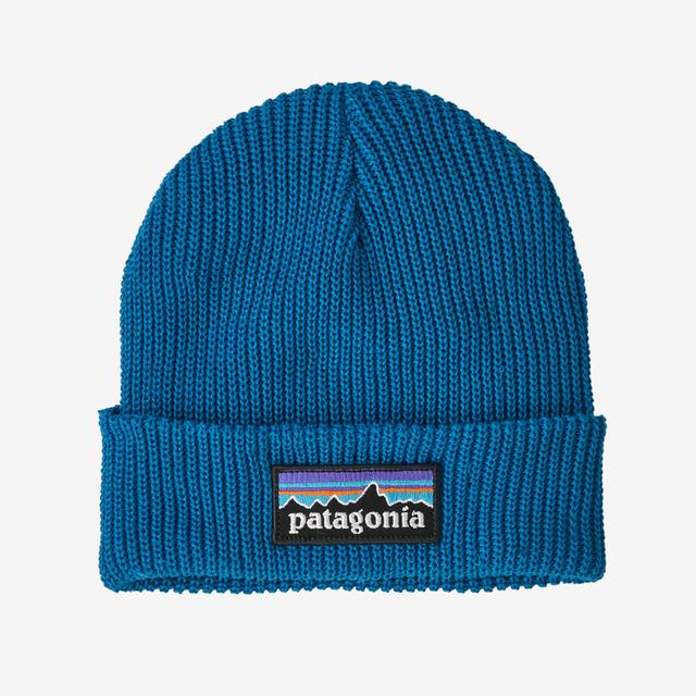 Patagonia Kids Logo Beanie PENB P-6 Logo: Endless Blue