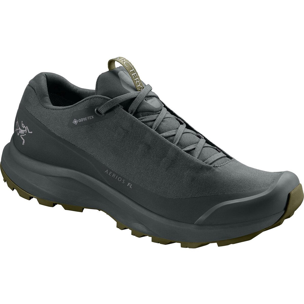 Arcteryx Men's Aerios FL GTX Shoe Cinder/Bushwack