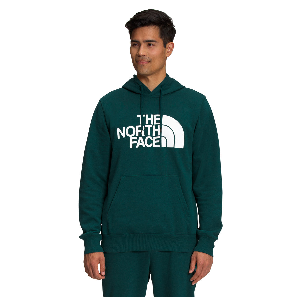 The north face men's discount half dome pullover hoodie stores