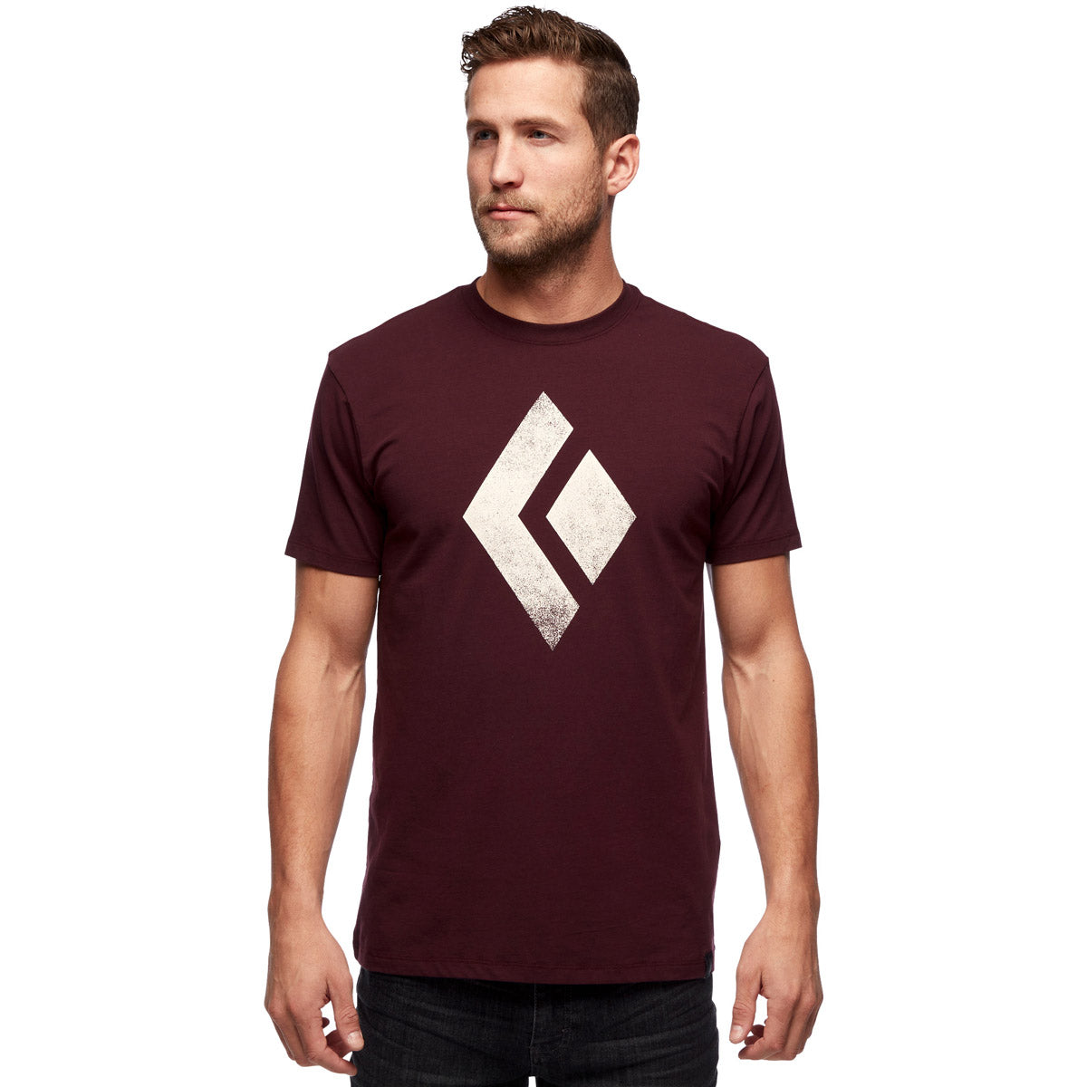 Black Diamond Men's Chalked Up Tee Port