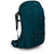 Osprey Packs Farpoint Trek Pack 55